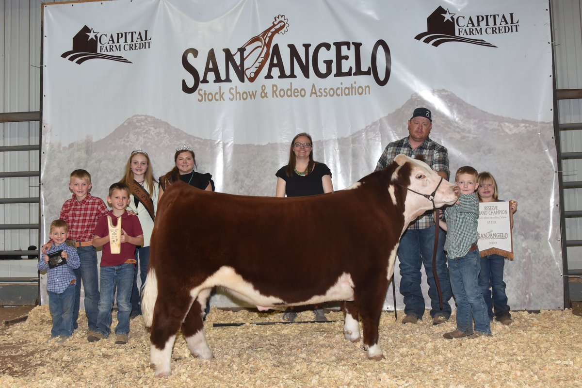 TiffDowell's tweet photo. It was a banner day for the kiddos &amp; calves in San Angelo!  Grand Champion Mini Hereford Steer (Harper) &amp; Reserve Grand Champion Mini Hereford Steer (Braun)!  #momlife #miniherefords #stockshowlife #minihereford @motreadwell https://t.co/a4h9nmtGSL