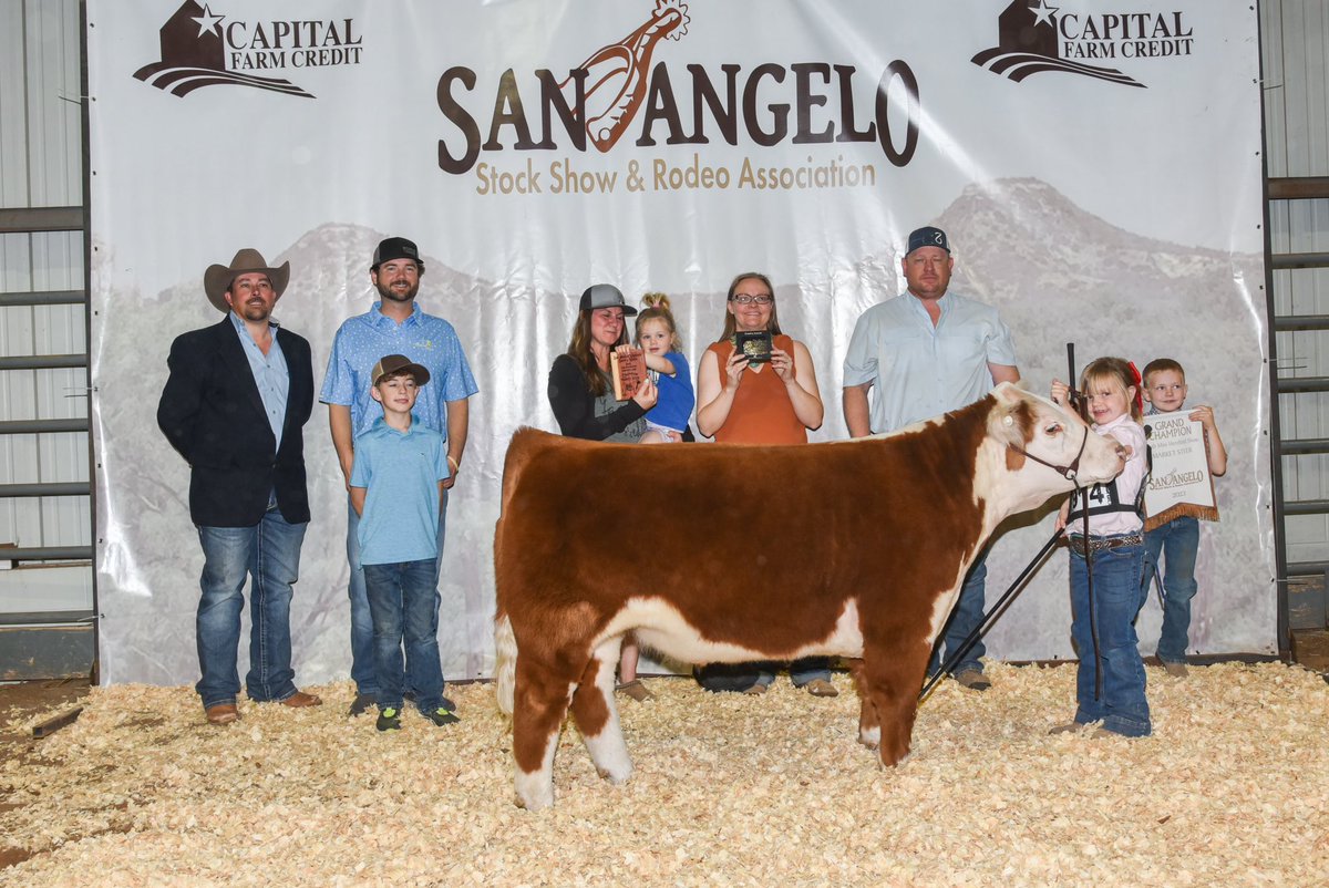 TiffDowell's tweet photo. It was a banner day for the kiddos &amp; calves in San Angelo!  Grand Champion Mini Hereford Steer (Harper) &amp; Reserve Grand Champion Mini Hereford Steer (Braun)!  #momlife #miniherefords #stockshowlife #minihereford @motreadwell https://t.co/a4h9nmtGSL