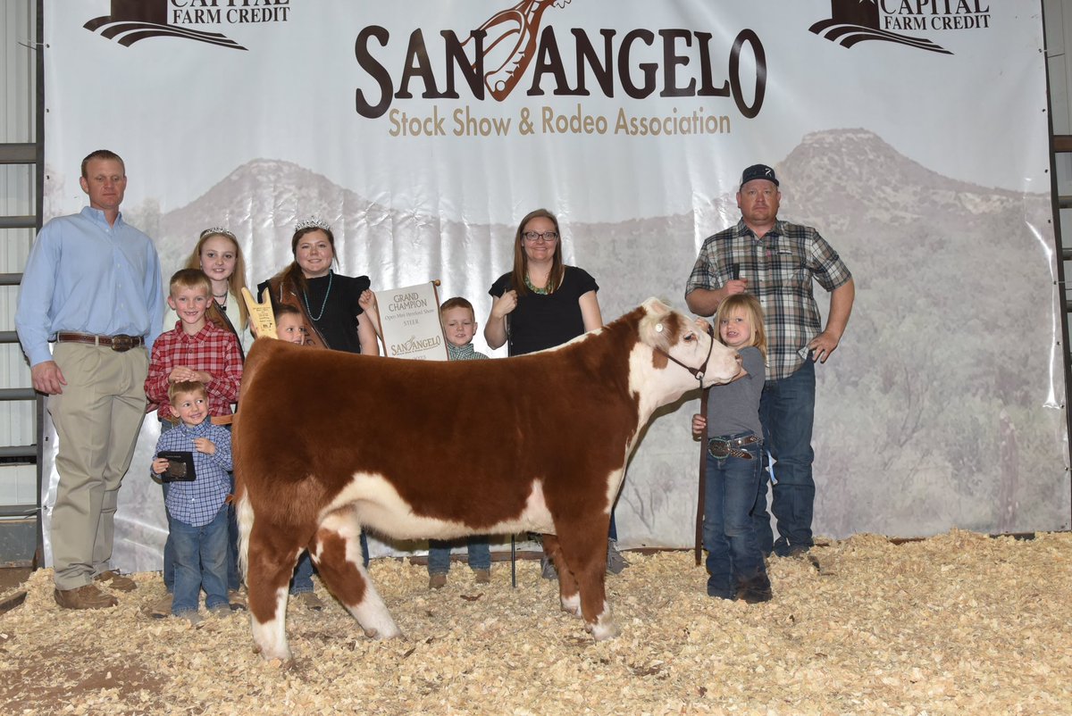 TiffDowell's tweet photo. It was a banner day for the kiddos &amp; calves in San Angelo!  Grand Champion Mini Hereford Steer (Harper) &amp; Reserve Grand Champion Mini Hereford Steer (Braun)!  #momlife #miniherefords #stockshowlife #minihereford @motreadwell https://t.co/a4h9nmtGSL