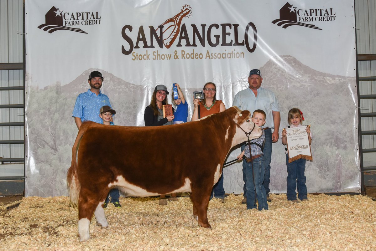 TiffDowell's tweet photo. It was a banner day for the kiddos &amp; calves in San Angelo!  Grand Champion Mini Hereford Steer (Harper) &amp; Reserve Grand Champion Mini Hereford Steer (Braun)!  #momlife #miniherefords #stockshowlife #minihereford @motreadwell https://t.co/a4h9nmtGSL