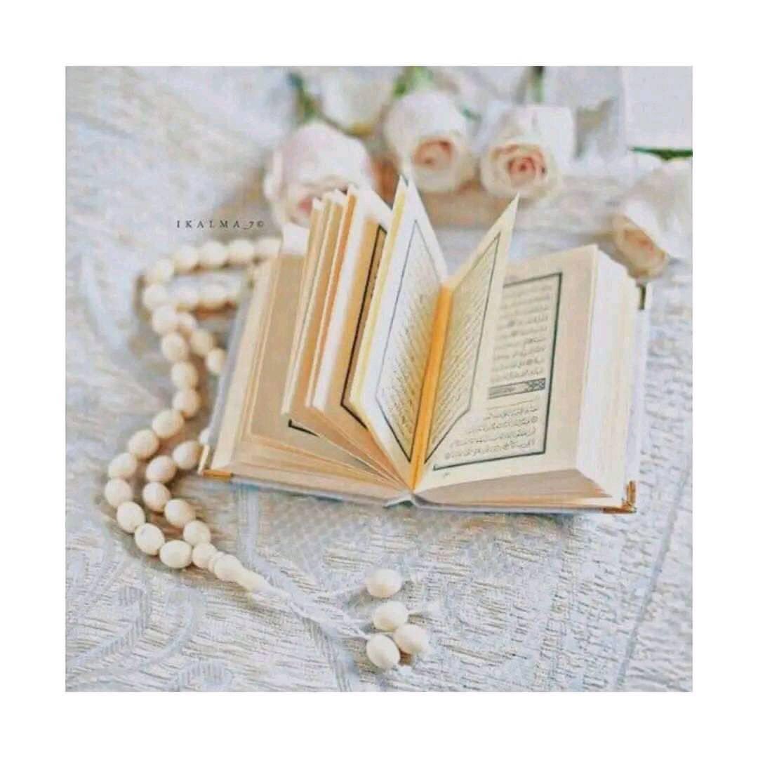 lemar_khan019's tweet photo. د نړې تر ټول ښکلې او پاک کتاب قران عظیم الشان 🫶❤️ https://t.co/CT9AJZCP5T