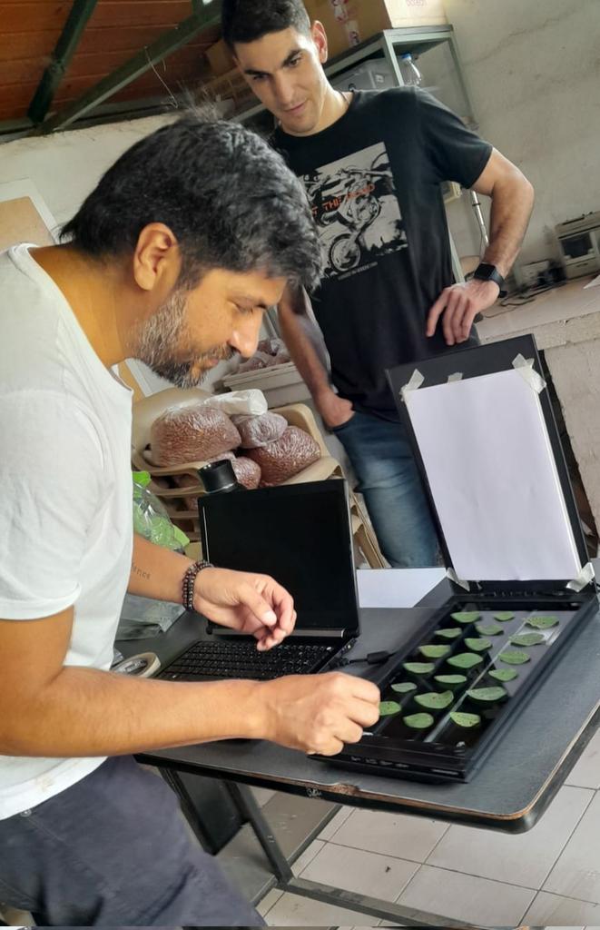 Ignacio Cazon tweet media