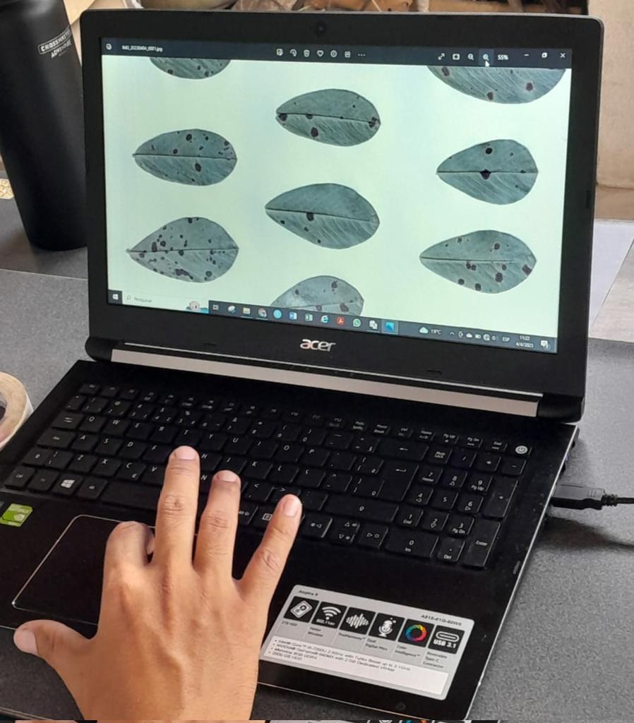Yesterday, at #IPAVE <a href="/intaCIAP/">intaCIAP</a> we scan peanut leaves to determine the severity of late leaf spot. Next step, pliman...
<a href="/EstebanMiretti/">Esteban Miretti</a> 
<a href="/Juan_A_Paredes/">Juan Andres Paredes</a> 
<a href="/Lautarosu96/">Lautaro Suarez</a> 
#planthealth #pliman #Rstudio