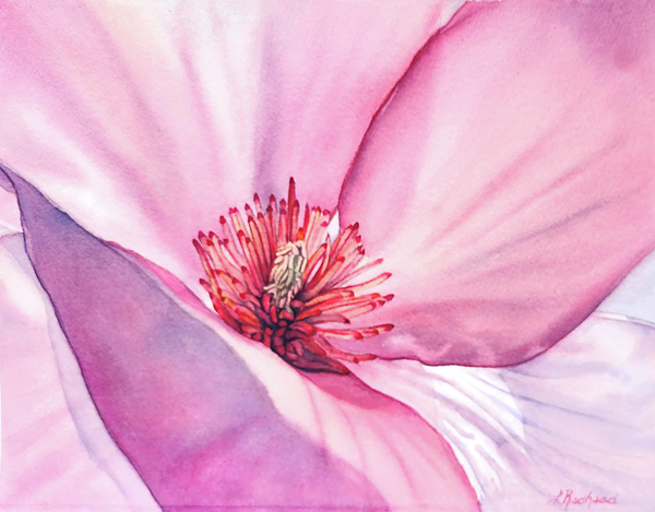 llambertfineart's tweet photo. New artwork for sale! - "Pink Blush" - https://t.co/irxToG7Rxg @fineartamerica https://t.co/RWy3G1sV2D