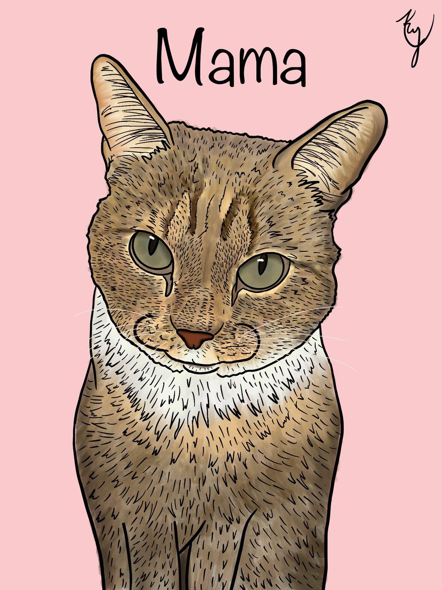 LivePaintCreate's tweet photo. Such a beauty. Mama is my first cat commission! Iβm really happy with how she turned out. #cartooncat #livepaintcreate #digitalart #smallartist #smallbusiness #sidehustle #custommade #catart #personalartwork #custompetportrait #Commission https://t.co/3gwctSYt8z