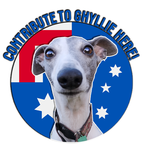 SalBerrys's tweet photo. 🐾 SOONST!!!  🐾
Live in under an hours time from now
12pm AEST 

We gonna play... G A M E S™ 

Hope to see you there <3 https://t.co/3Sm6IG2H50