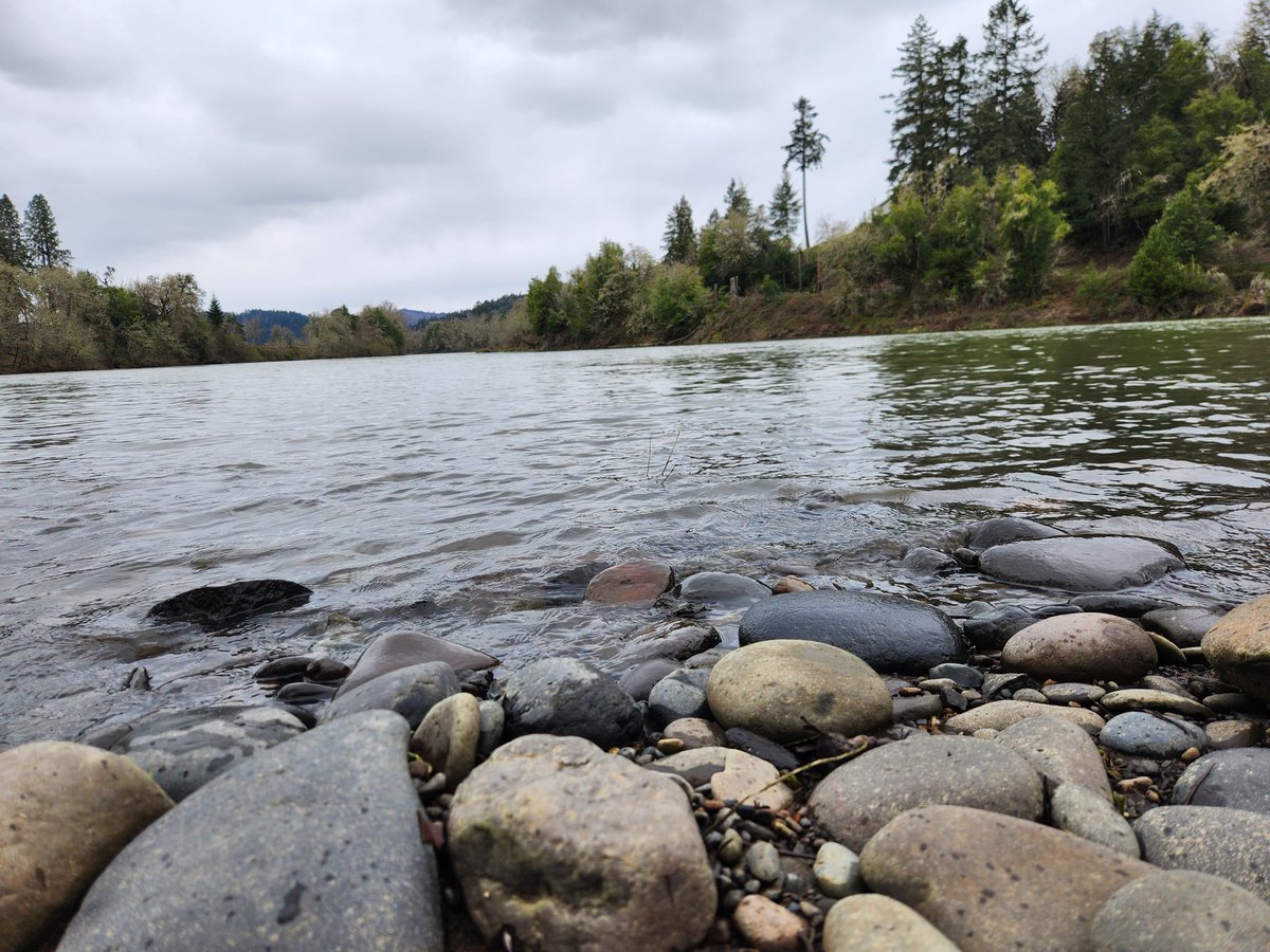 OnyxSux's tweet photo. Went on a nice walk today 😌 https://t.co/p7qnnW1on2