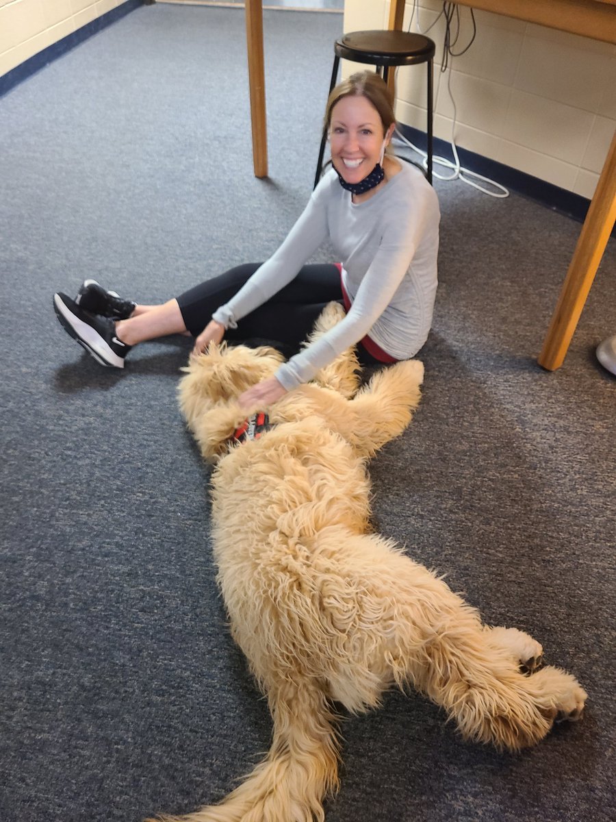 KSnyderAP's tweet image. A huge shoutout to Ms. Leo who supports our students, staff AND Cooper each and every day! The best of the best!!!! Thank you, and we love you,  Ms. Leo! ❤️ #NationalSchoolLibrarianDay @BarackmanBrian @ITMSCougars