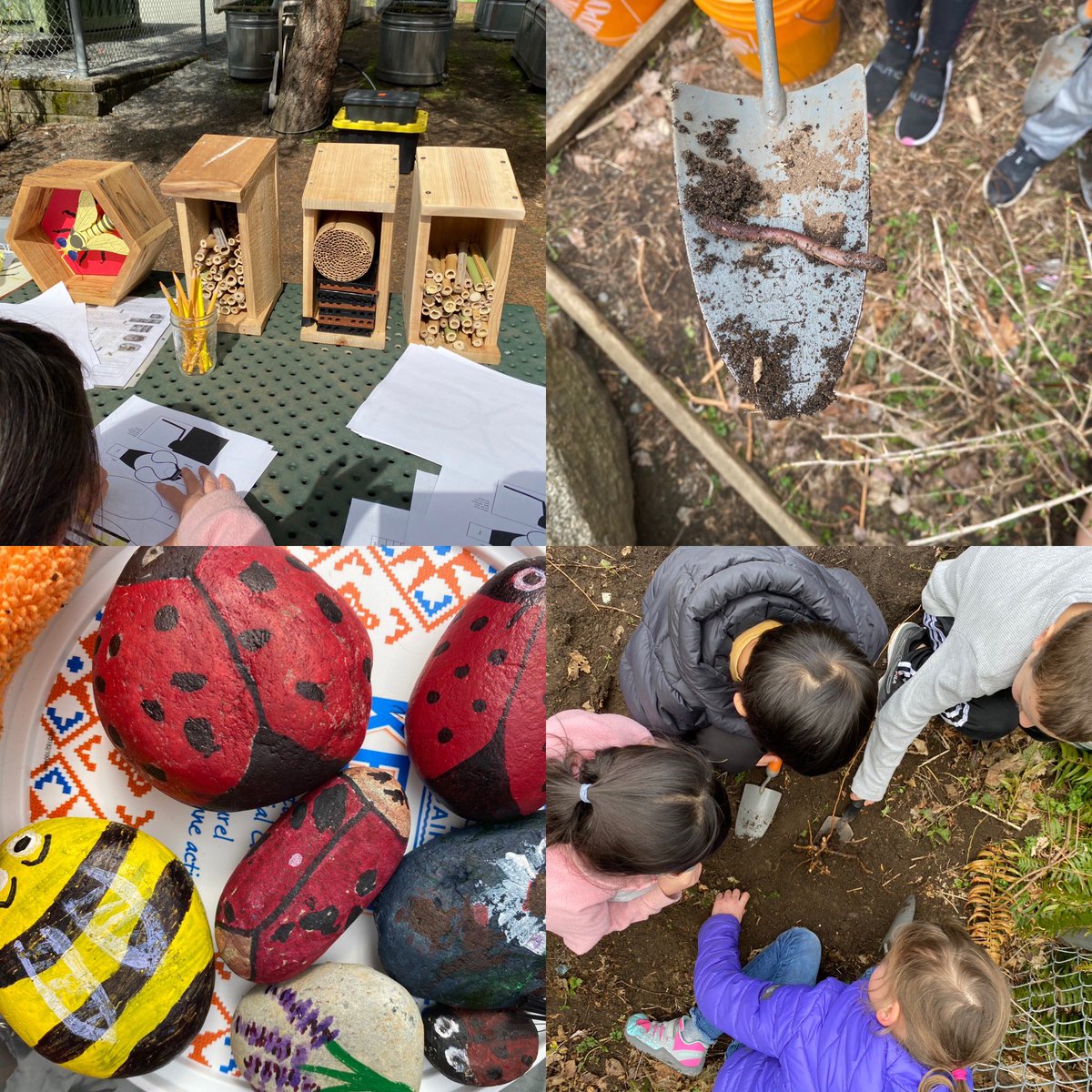 uhe_sd41's tweet photo. Today we prepared the garden by pulling out weeds, found insects and bugs who live in its ecosystem, created nature inspired art, and learned about our pollinators with Pablo from @roots2growbc. #HandsOnLearning #GetOutside #GetDirty https://t.co/sykoX0Nz6n