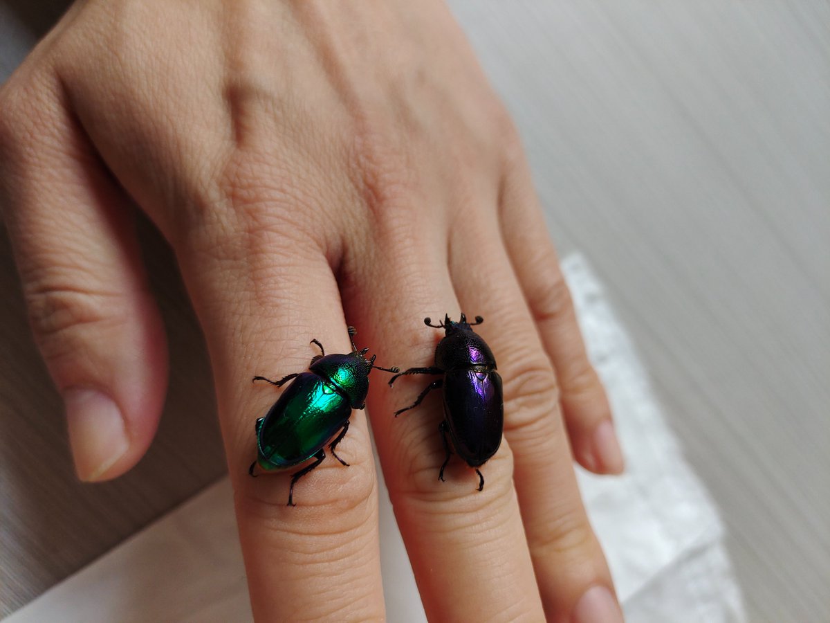 Gggggg (@glgo84) on Twitter photo 