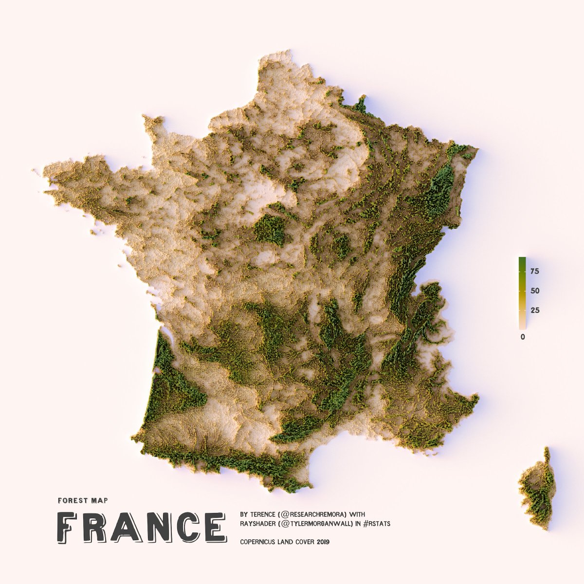 researchremora's tweet photo. Finally feeling better so here's a forest cover map of France using data from 2019.

#rayshader adventures, an #rstats tale https://t.co/Iou4J1Owq2