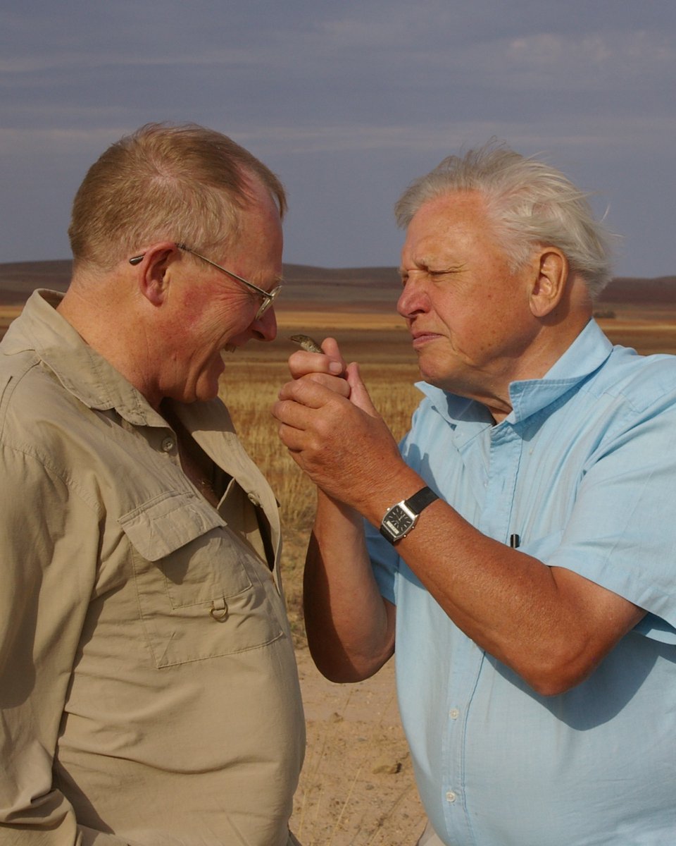 The 2023 Mike Bull Award #ResearchGrant for Early Career Nature Scientists is now open! Early career researchers (late PhD or early post-doctoral research fellows) are invited to apply. Applications close 5pm ACST Tues 25 April 2023 - naturefoundation.org.au/what-we-do/sci…
#NatureConservation