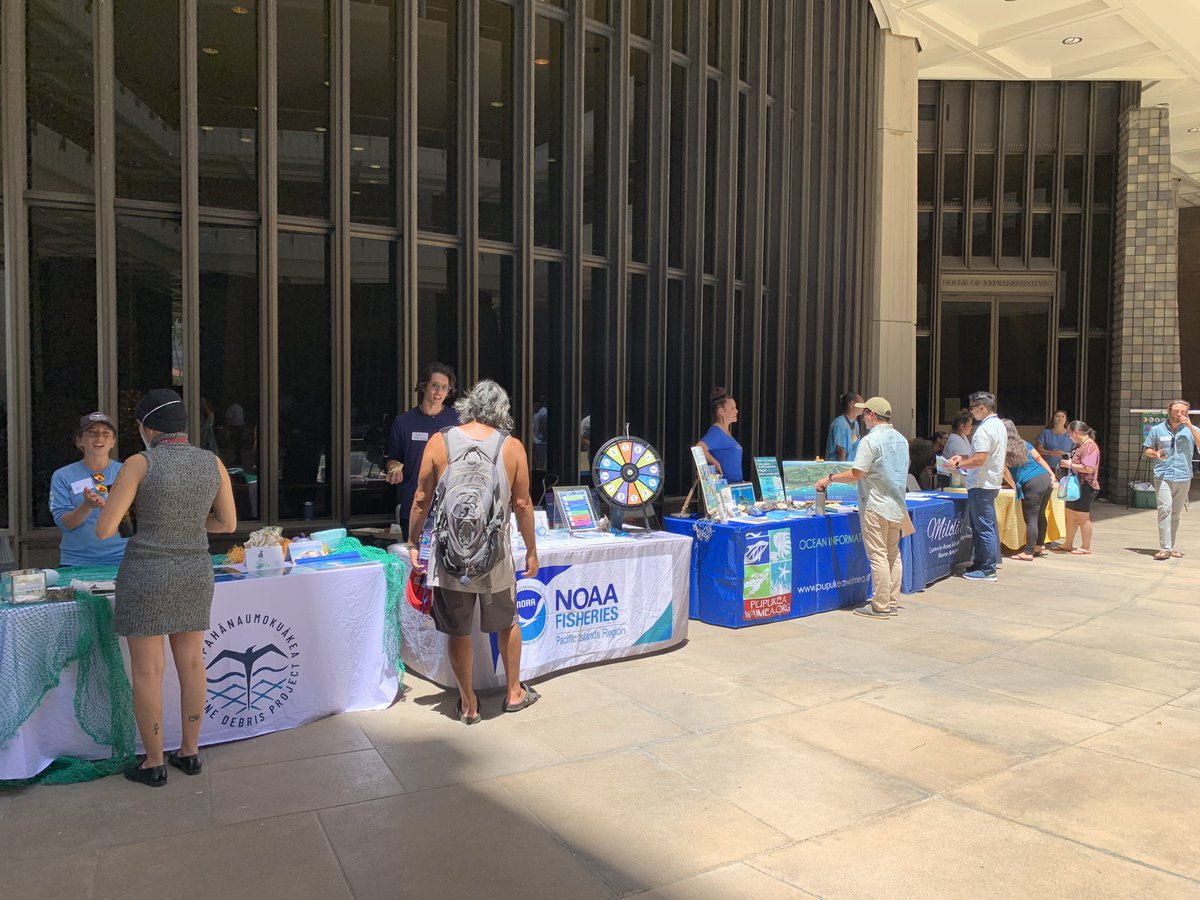 ellieoftheocean's tweet photo. SO much fun to visit the Hawai‘i State Capitol yesterday for Pilina Kanaloa, our ocean advocacy day! Gotta let our legislators know how important the ocean is to us by showing up 🌊 https://t.co/OHhlteFxEn