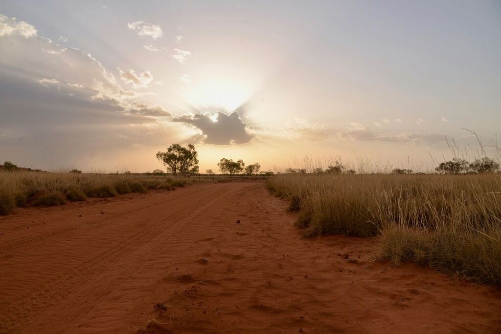 Post vir The red soil and magic of the Outback sky. 
#barcooway #visitbarcoo #windorah #outbackqueensland ift.tt/mbR80lZ #micksgonebush #Australia
ift.tt/FeQA9Va