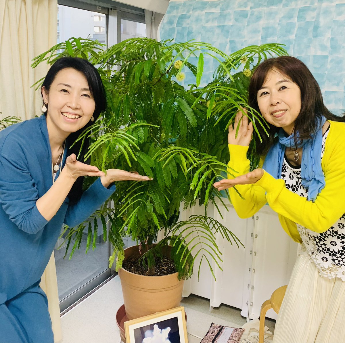 RurikoHarashima's tweet photo. 量子波動サロン（東京・五反田）にて
ゴッドクリーナーでデトックス✨

足湯みたいな感じなんですが、
強力に毒素を排出出来ます！
たった30分でお湯がすごい色になり、
ものすごーく軽くなったぁ✨✨✨

いろんな波動機器があって
おもしろいところです😊💕

#量子波動機器 #デトックス
 #ヒーリング https://t.co/XWXawqmYX1