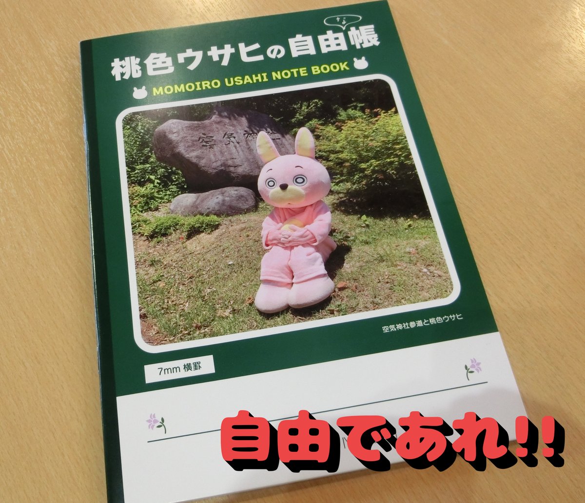 桃色ウサヒ〜巾着・スマホカバー | ぬいぐるみポーチ | ブログ | オリジナルグッズ・ぬいぐるみ・クッションの制作ならゼロワン 桃色ウサヒ 一合枡 道の駅あさひまち10周年記念 ゆるキャラ