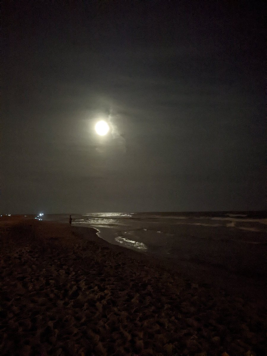 dfteach's tweet photo. Nighttime stroll on the beach.
#TeacherOnVacation
#BeachingNotTeaching
#GulfOfMexico
#MyYearOfFirsts
#MoonlightStroll
#SandBetweenTheToes https://t.co/g92W35GDds