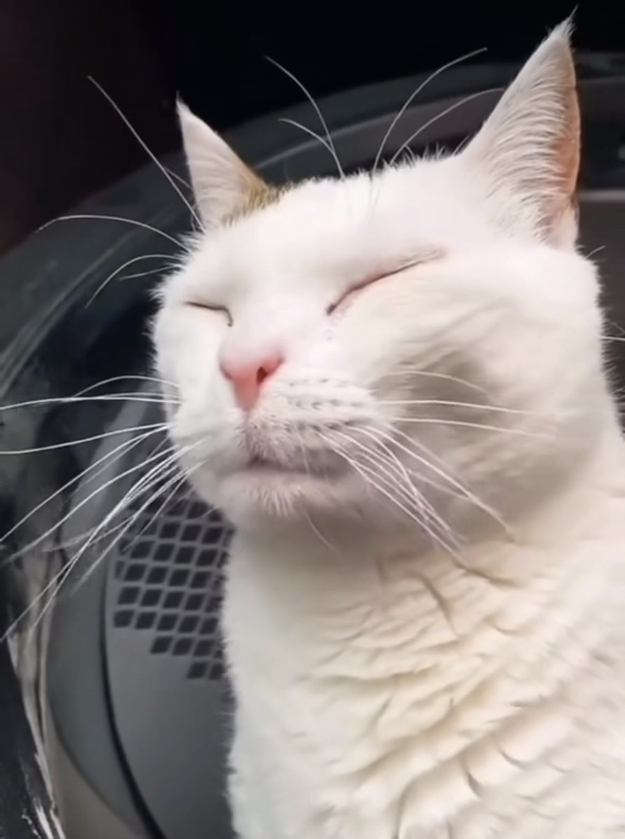 Crogunk2's tweet image. how im feeling