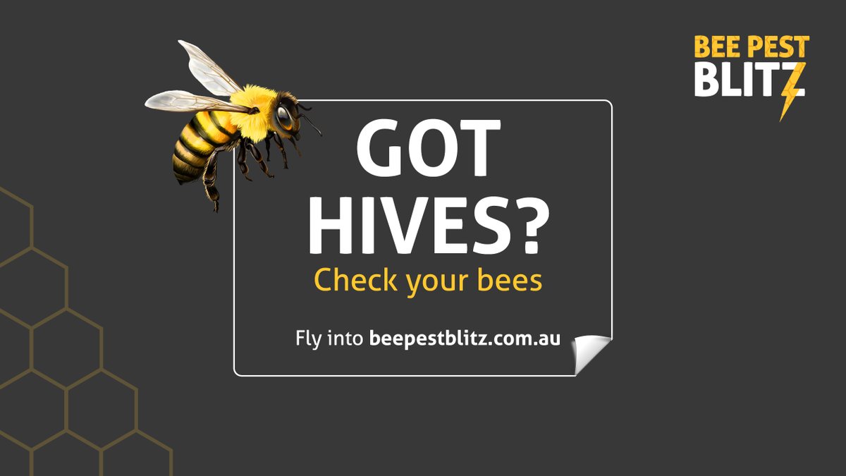 planthealthaust's tweet photo. Improving honey bee health & maintaining healthy bee populations is essential for the production of Aussie honey & ag sectors needing pollination services. Visit https://t.co/k6qn1rkA8H for free surveillance resources. #beepestblitz #biosecurity #sharedbenefits @AustBee @DAFFgov https://t.co/SGv9S4FWda