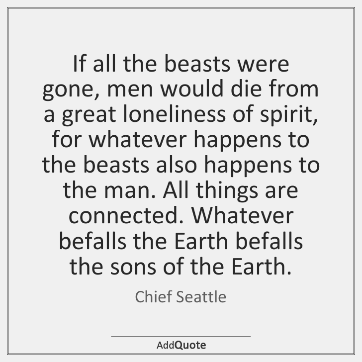addQuotecom's tweet image. Chief Seattle #ChiefSeattle #Quote #Quotes