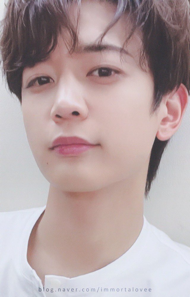 トレカ SHINee　ミンホ　chase