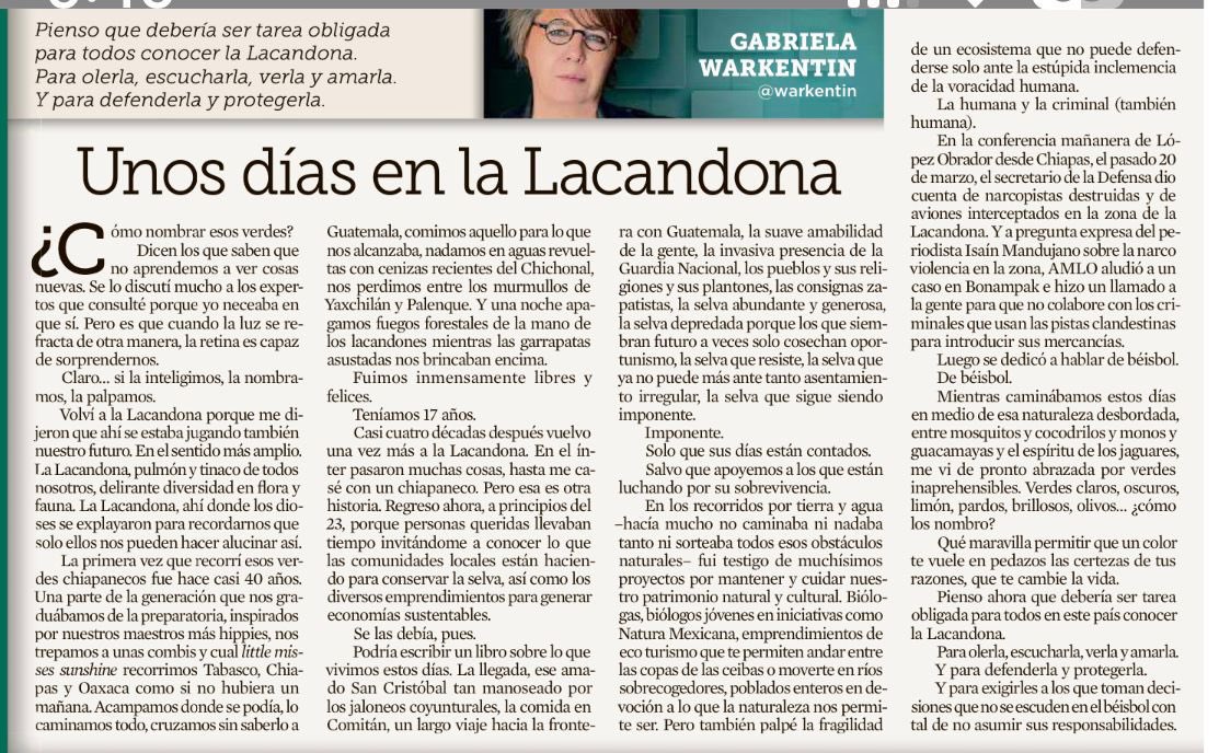 Este bello artículo me conmovió, gracias muestra <a href="/warkentin/">Gabriela Warkentin</a>