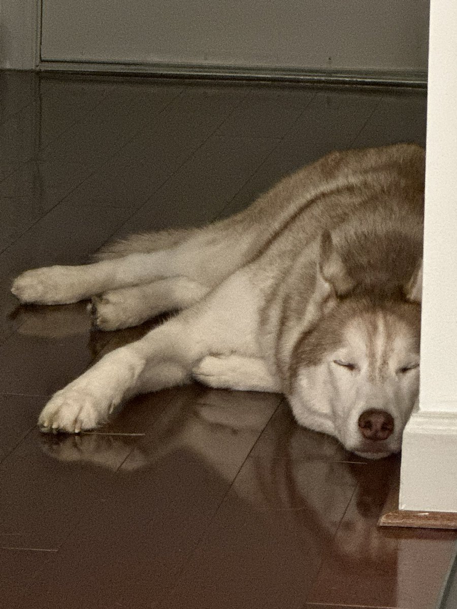 Priya P. Patel tweet media