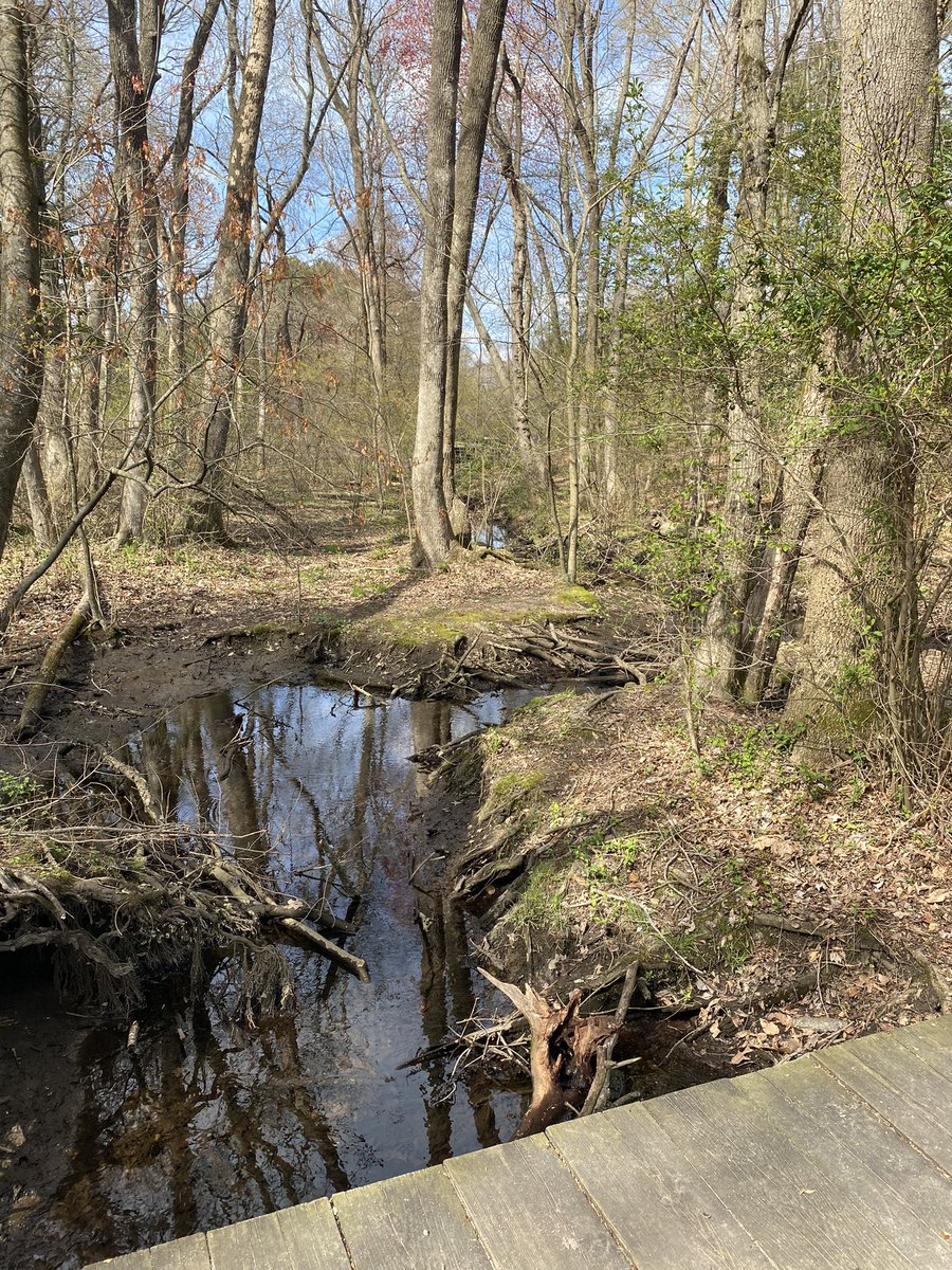 bitzelpe's tweet photo. was able to hike for cardio today since it was so nice out! @dsp643 asynch 9 https://t.co/OF8TVndFcO