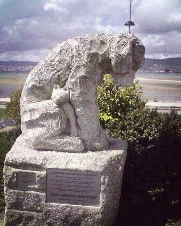 trinityewen's tweet photo. En Moaña, Galicia (España) 🇪🇸. Hay una estatua de un perrito callejero con un gatito, en homenaje a todos los animales sin hogar. 🐾🕊️💞❤️ https://t.co/0DYAD7fSLQ