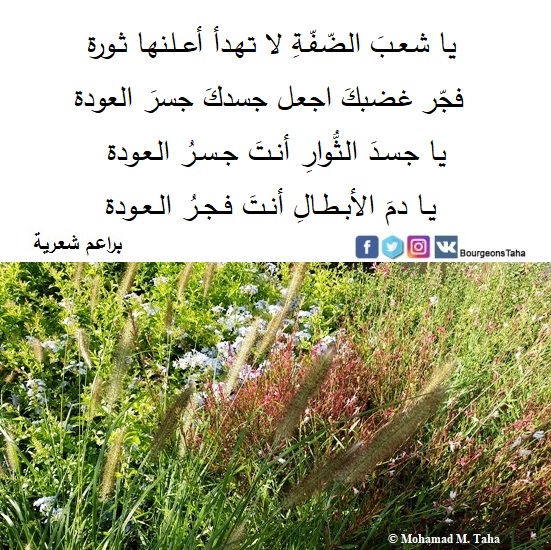 BourgeonsTaha's tweet photo. يا شعـبَ الضِّفَّةِ لا تهدأ أعـلنها ثورة
#براعم_مقدسية تتفتح على حبّ القضيّة https://t.co/m18IKQgfPj