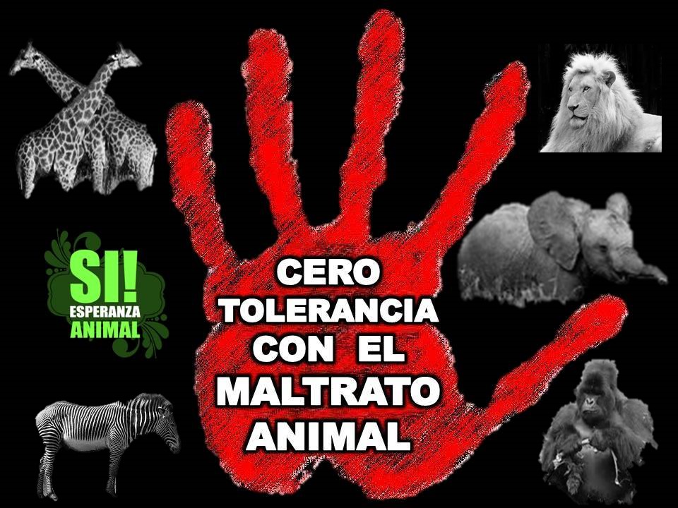 #YoVoyPorLosAnimales
PROX ELECCIONES
Vota X Politicos Con 
Propuestas En
#ProteccionAnimal 
NO VOTES X MALTRATADORES!!!
