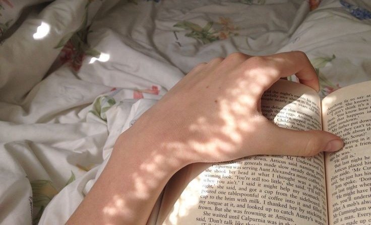 Hi!! im new to #booktwt and would love to make some friends to talk about our fave reads <3

some of my faves:
- classics (emma, rebecca, pride &amp; prejudice, etc) 
- the folk of the air series
- agggtm

want to read:
- the inheritance games
- shatter me 
- ggbb

♡/↻ to be moots