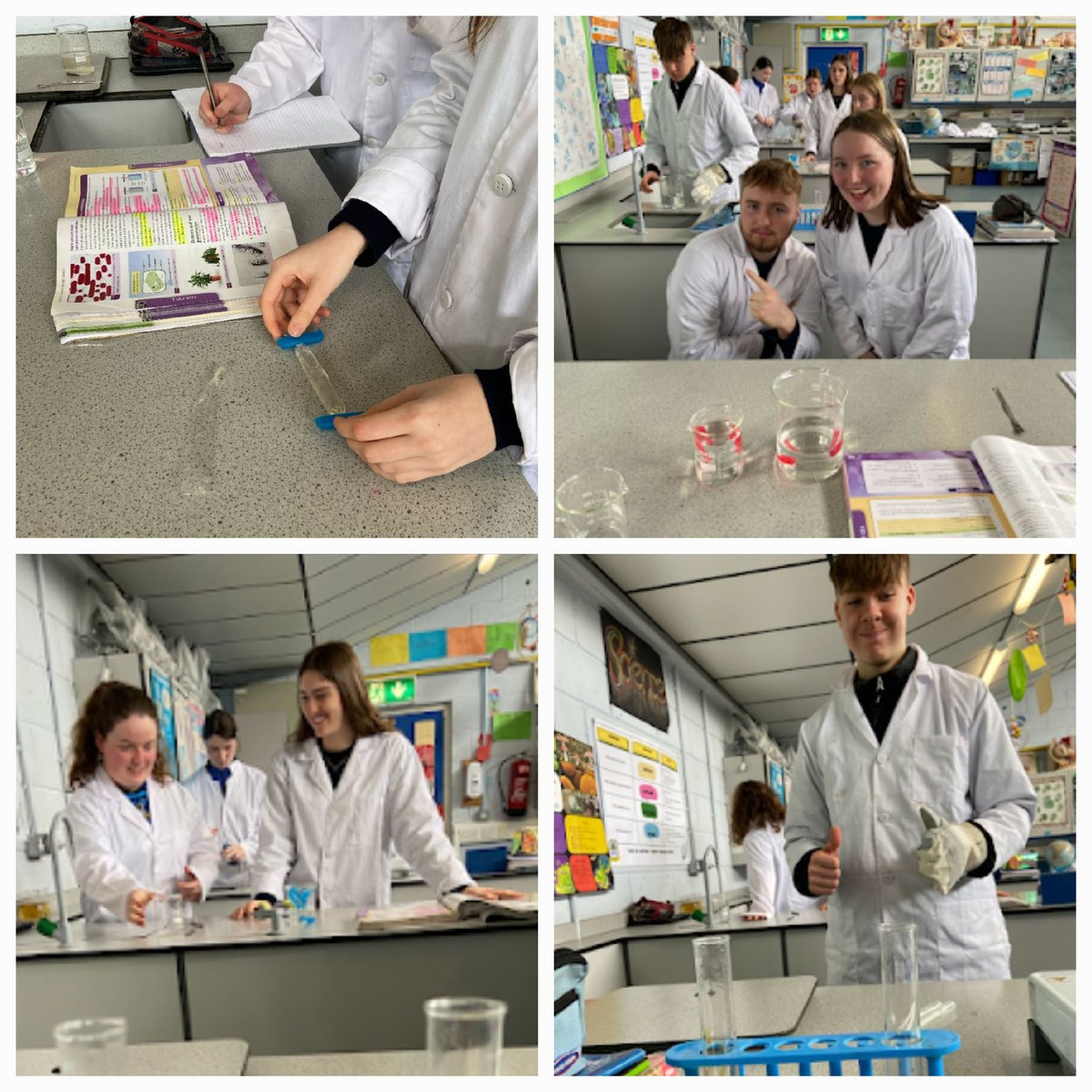@colmhuirecoed @CMCOscience 5th year Biology students investigating Osmosis in a variety of ways, including using raisins & dialysis tubing. #cmcoagobair #excellenceineducation #handsonlearning @TipperaryETB