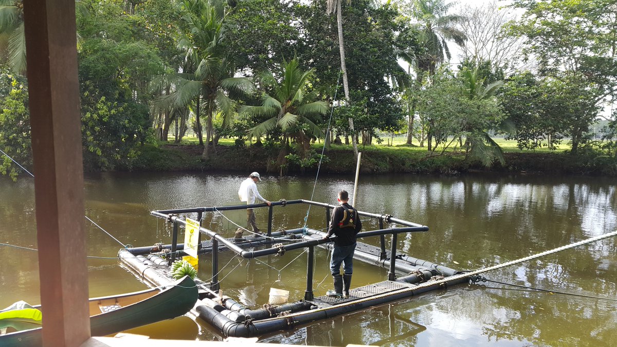 Héctor Poveda tweet media