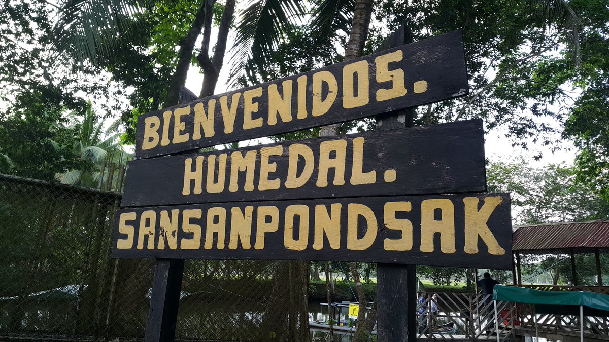 Héctor Poveda tweet media