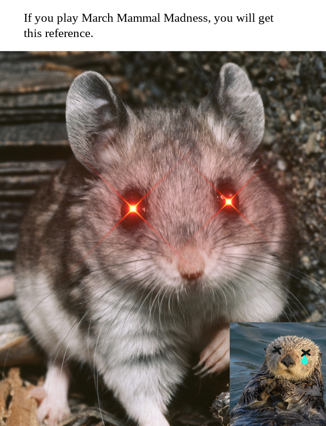 Student MMMM (March Mammal Madness Meme) #2023MMM.   Now I have to cheer for the little guy!