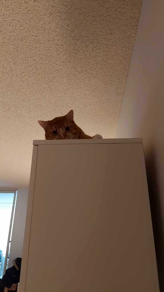 AnythingGoes(AG)🔞 tweet media