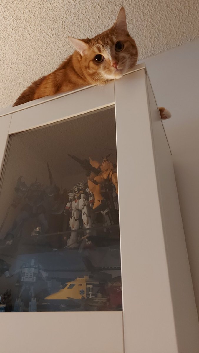 AnythingGoes(AG)🔞 tweet media