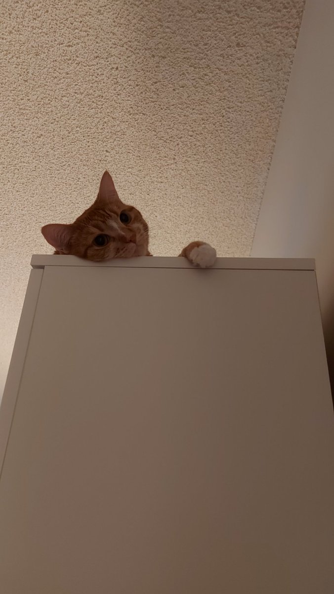 AnythingGoes(AG)🔞 tweet media