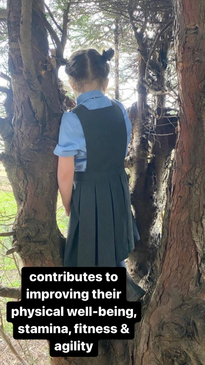 AfterthebellO's tweet photo. Outdoor play is so important in After the bell. The children get to explore in the playground in @ToryglenPS they love climbing trees and here are some of the benefits #Outdoorplay #righttoplay @StBrigidsPS https://t.co/u3NM8Ia8FJ