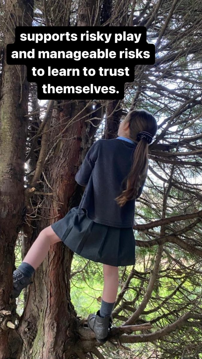 AfterthebellO's tweet photo. Outdoor play is so important in After the bell. The children get to explore in the playground in @ToryglenPS they love climbing trees and here are some of the benefits #Outdoorplay #righttoplay @StBrigidsPS https://t.co/u3NM8Ia8FJ