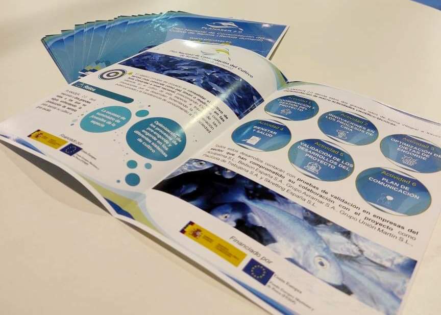 planaser20's tweet photo. #AquaFuture 🌊| Hoy se ha presentando el proyecto #PLANASER 2.0 en @AquafutureSpain 2023 🐟 una de las ferias más reconocidas en el sector de la #acuicultura española 🇪🇸
☝️Pasa por la Feira Internacional de Galicia #ABANCA 📌 para conocer más sobre el proyecto💡 https://t.co/uCupy0aHYk