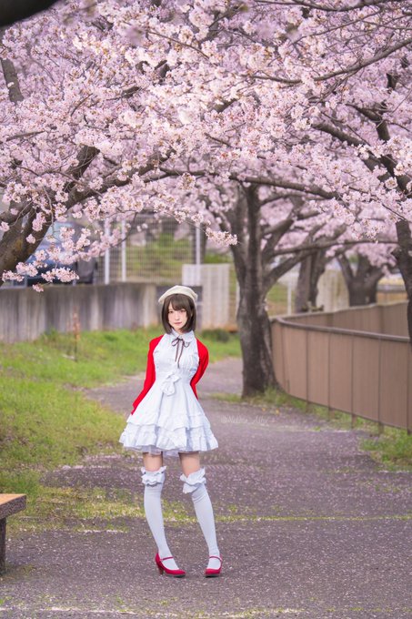 コスプレイヤー猫田あしゅのTwitter画像29