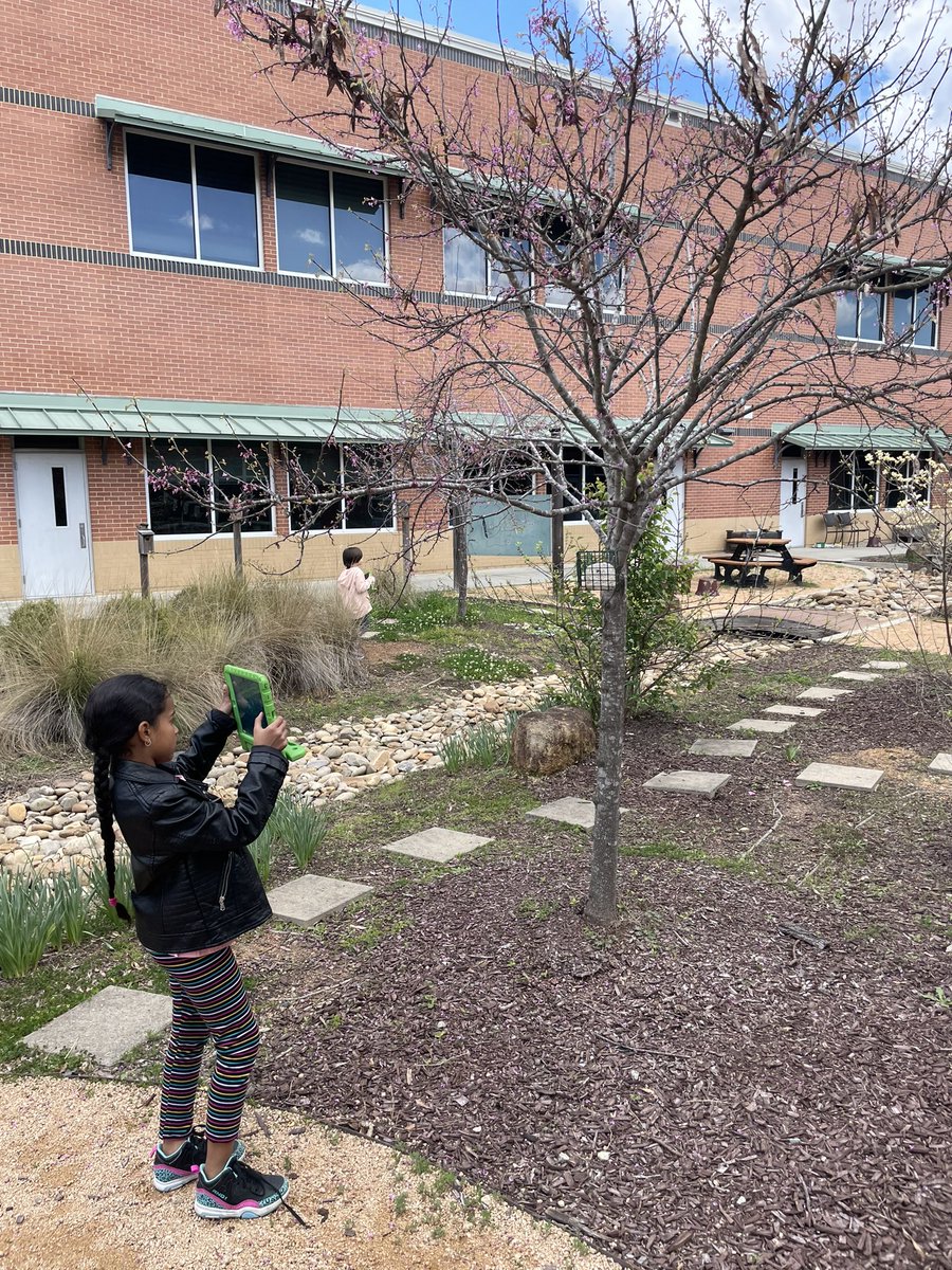 scrussell_LHES's tweet photo. The kids enjoyed some reading time outside in the courtyard and went on a 3D shape hunt around the school this afternoon.💚📚📦🌎🎉@LHECMES #outsideisthebestSIDE #firsties https://t.co/HxqUbHSMdr