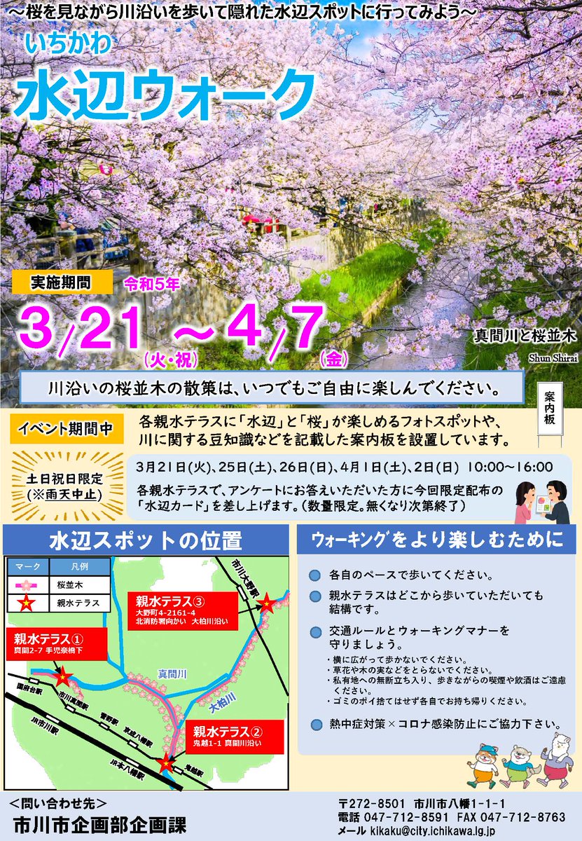 JUN1785's tweet photo. 4/1＆4/2開催のいちかわ水辺ウォークで私の桜写真がプリントされた水辺カードプレゼント🌸
真間川(真間、鬼越)と大柏川(大野町)の親水テラス３箇所でアンケートで答えるともらえます♪

https://t.co/w4gvGgaQ3M

#ICHIKAWAPortraitCity #市川市 #市川 #千葉 #千葉県 #桜 #市川大野 #市川真間 #本八幡 https://t.co/1cyItAlLD3