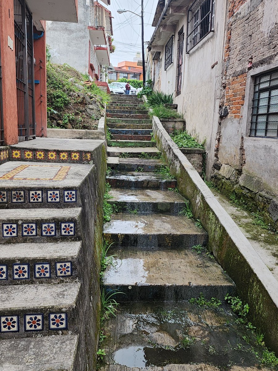 nathancxtx's tweet photo. @CMAS_Xalapa @AytoXalapa @buzonxalapa De su valioso apoyo para atender reporte de descarga de Aguas negras sobre escalinata de callejón Fascinacion. Entre 20 de nov. Y calle primavera. GraciaS. https://t.co/NEabSCp1Gg