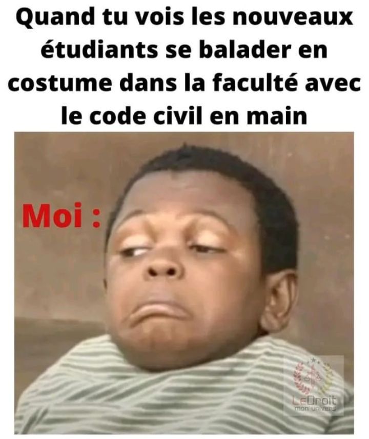 knowledge_ofLaw's tweet photo. 😹 https://t.co/eMK4YRFBun
