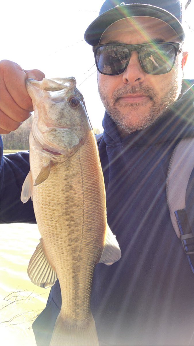 AndyWadeKY's tweet photo. First bass of the year, caught on a @BerkleyFishing flicker shad and a @DaiwaUSA spinning reel. #BassFishing #FreemanLake 🎣 https://t.co/ssWqn5jsj6