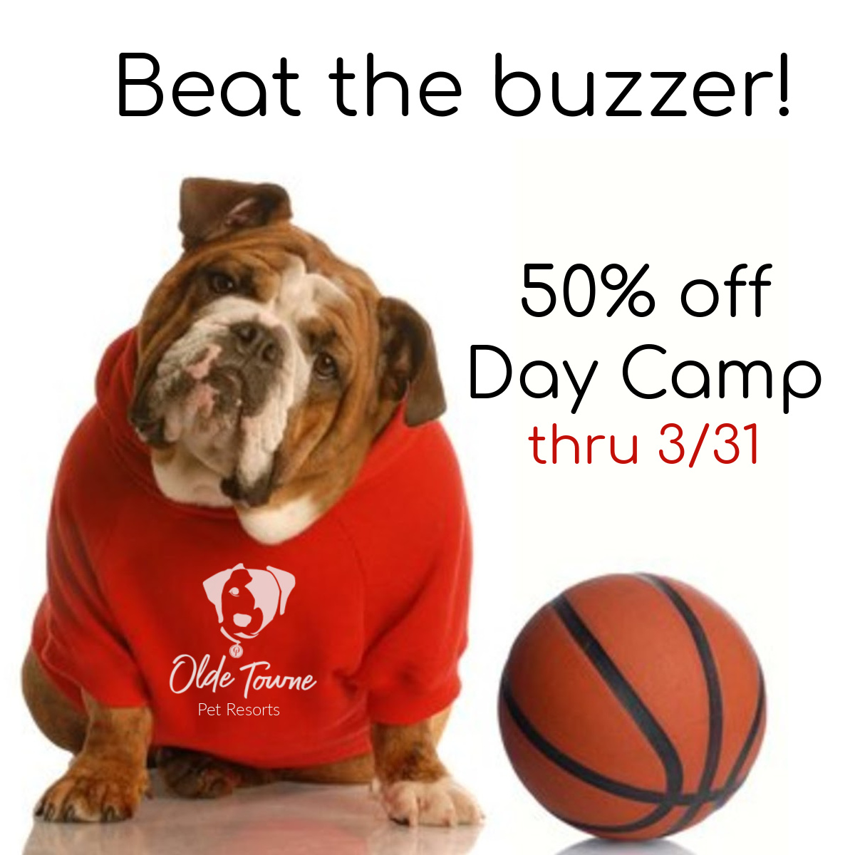 There's still time on the clock for some exciting play. Enjoy 50% off single-day day camp through Friday. ow.ly/aFPo50Nvp21