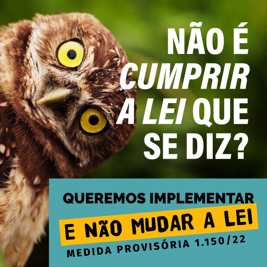 Gotinhas's tweet image. @camaradeputados @ambientalfrente Não a emenda a MP 1150 que quer acabar com a Lei da Mata Atlântica e com os meninos instrumentos do Código Florestal #SalveaMataAtlântica #CodigoFlorestal